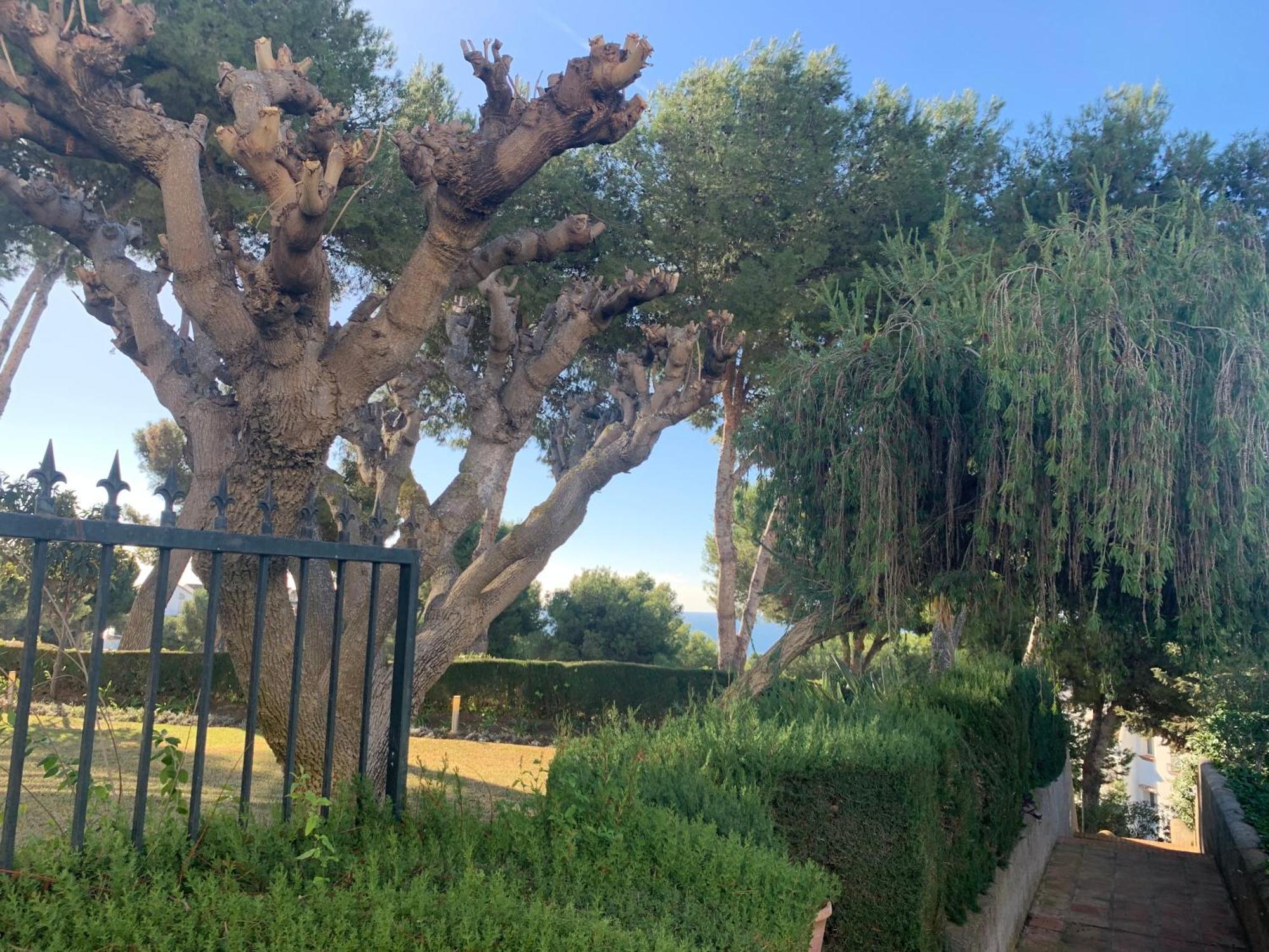 Jardin Miraflores Lägenhet La Cala De Mijas Exteriör bild